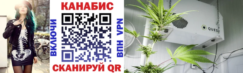 Купить закладку Кокаин  Героин  Галлюциногенные грибы  Alpha-PVP  ГАШИШ  МЕФ  Конопля  Уяр