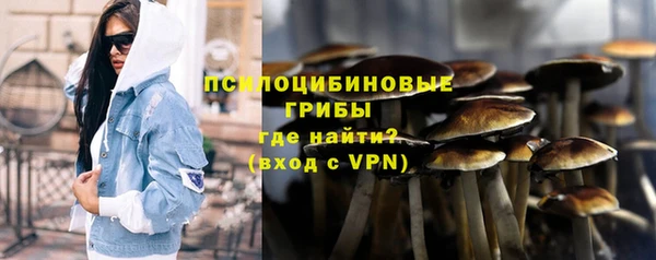 ПСИЛОЦИБИНОВЫЕ ГРИБЫ Россошь